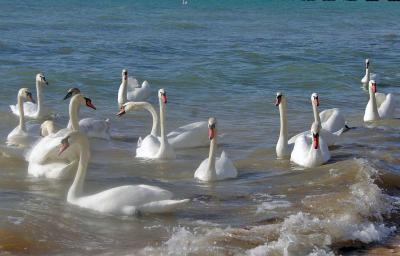 Прикрепленное изображение: LCIMGP5616.jpg